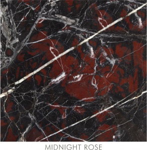 Midnight-Rose